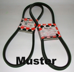 V-belt Sirion - Yrv